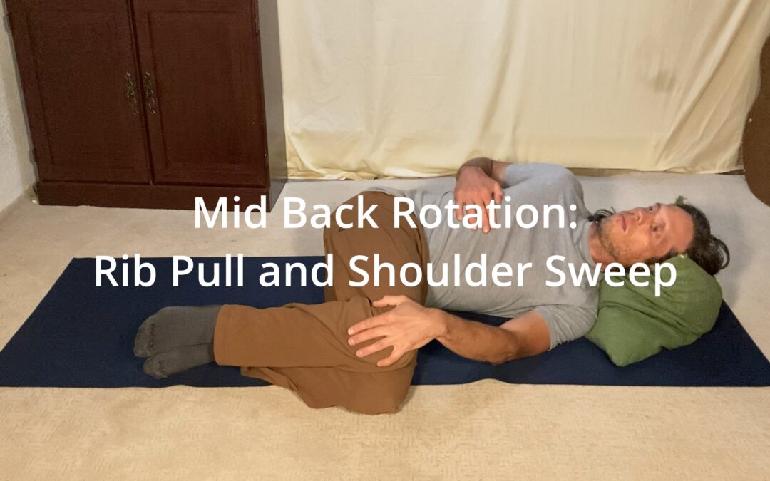 Mid Back Rotation: Rib Pull and Sweep